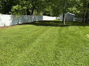 Derrick K.'s lawn care services service result