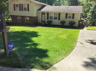 Vernon L.'s lawn care service result