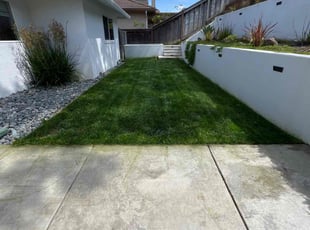 Ramon O.'s lawn service service result