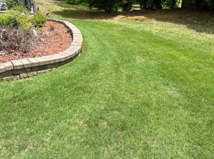 Sharon M.'s lawn care services service result