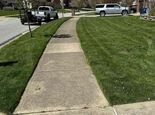 Darien H.'s lawn maintenance service result