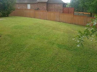 Katie G.'s turf care service result