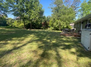 Joey M.'s grass maintenance service result