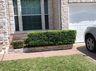 Dominic B.'s Bush Trimming service result