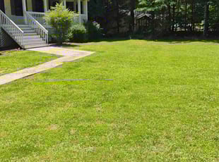 Nick S.'s turf care service result