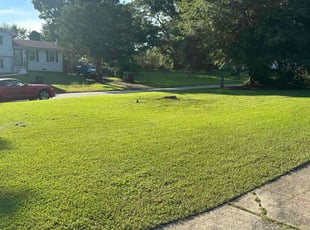 Craig I.'s grass cutting service result