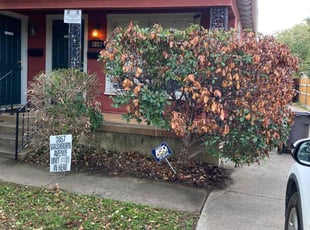 Linda H.'s Bush Trimming service result