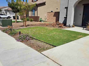 Angelica A.'s grass maintenance service result