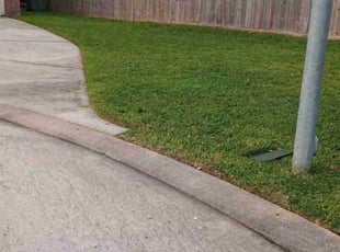 Giulio M.'s grass cutting service result