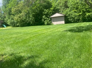 Jennifer S.'s grass maintenance service result