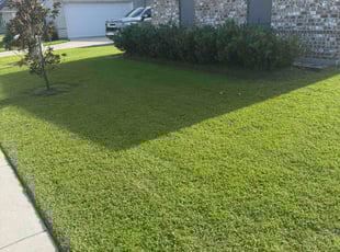 Durand M.'s turf care service result