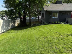 Raul A.'s grass cutting service result