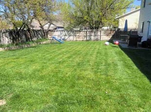 Deanna T.'s lawn maintenance service result