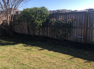 Karen M.'s Bush Trimming service result