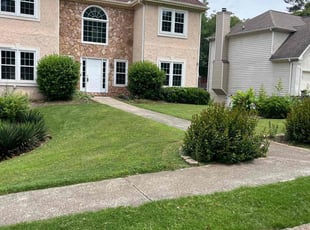 Brad F.'s lawn service service result