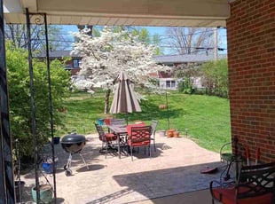 Madeline H.'s lawn care service result