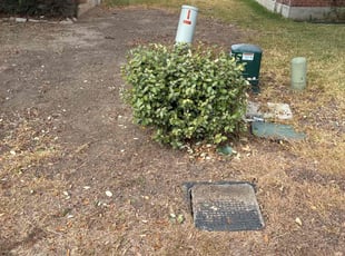 Ming W.'s turf care service result