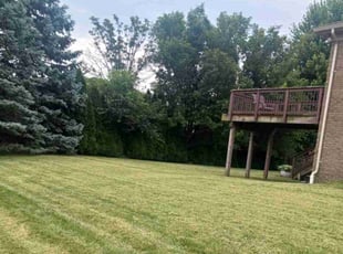 Stephen S.'s landscape maintenance service result
