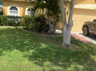 Jacqueline D.'s grass maintenance service result