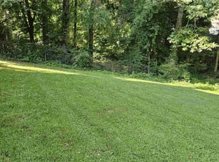 Aaron T.'s landscaping service result