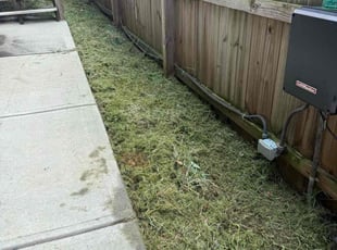 Clint H.'s lawn care services service result