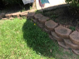 Alicia D.'s Bush Trimming service result