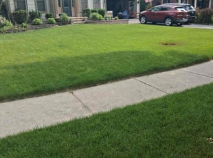 Maryann M.'s turf care service result