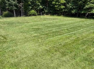 Angela D.'s lawn care services service result