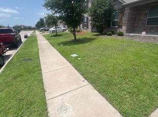 Mary M.'s lawn care services service result