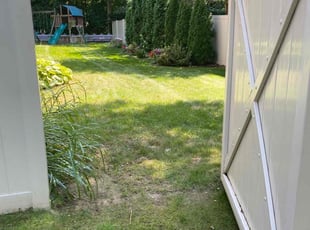 Darius K.'s lawn care service result