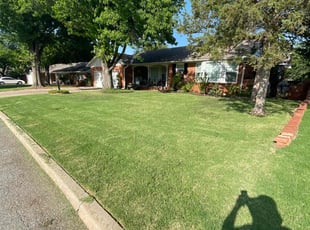 Dawn W.'s lawn service service result