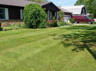 Brandy H.'s lawn care service result