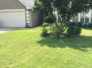 Alton K.'s Bush Trimming service result