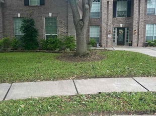 Ehi O.'s turf care service result