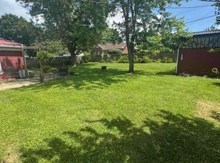 Juanita W.'s lawn care service result