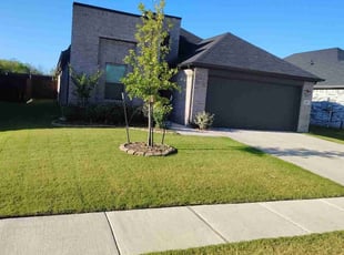 Cynthia S.'s turf care service result