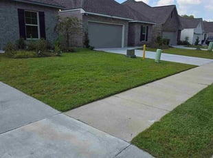 Walter E.'s lawn care services service result