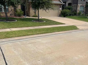 Thomas R.'s lawn care service result