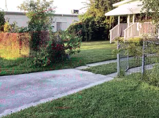 Kathy H.'s lawn care services service result