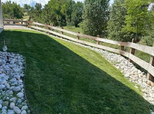Lanita R.'s lawn maintenance service result