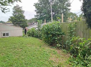 Paul M.'s Bush Trimming service result