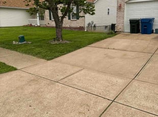 Lisa W.'s Long Grass Cleanup service result