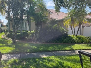 Skylier C.'s lawn service service result
