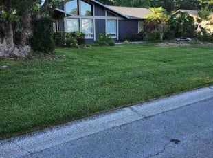 Nacita K.'s yard maintenance service result