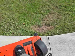 Bill A.'s turf care service result