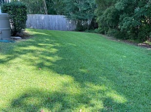 Cynthia A.'s grass maintenance service result