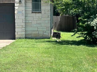 Craig S.'s grass maintenance service result