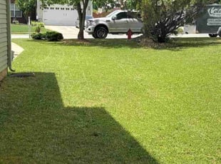 Mimi J.'s turf care service result