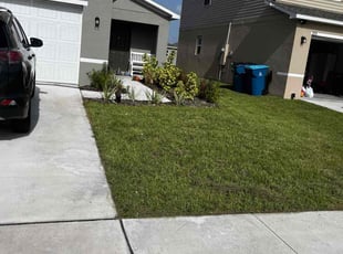Helen H.'s lawn care service result