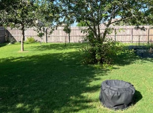 Connie D.'s grass cutting service result